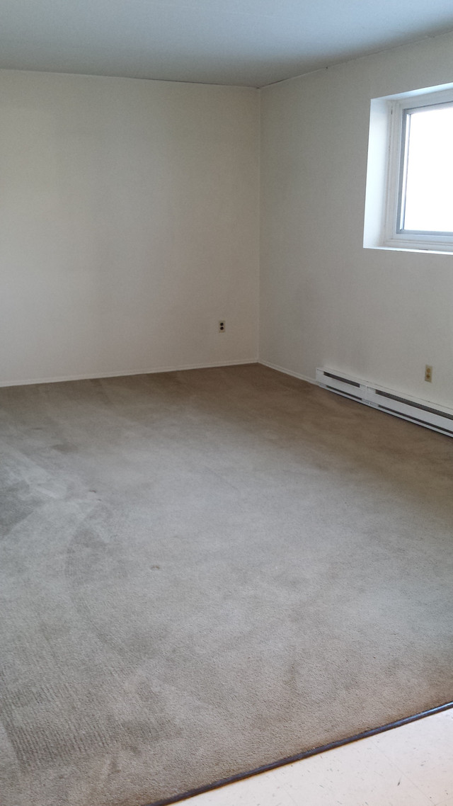 1 Bedroom Apartment off Pembina near U of M , August 1 Long Term