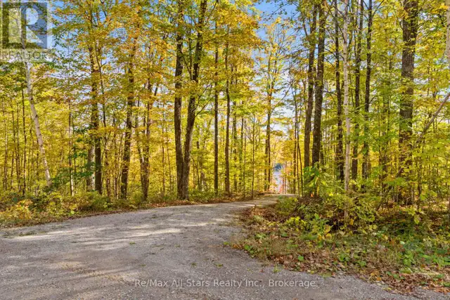 100 RUSSELL DRIVE Trent Lakes, Ontario in Land for Sale in Muskoka - Image 25