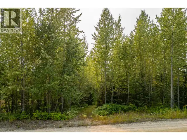 387 GALENA SHORES Drive Galena Bay, British Columbia in Land for Sale in Nelson - Image 10