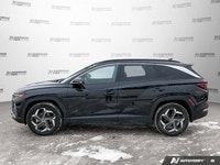 BLACK, LEATHER SEAT TRIM, ASH BLACK, Wireless Phone Connectivity, Wheels: 19 x 7.5J Aluminum, Wheels... (image 2)