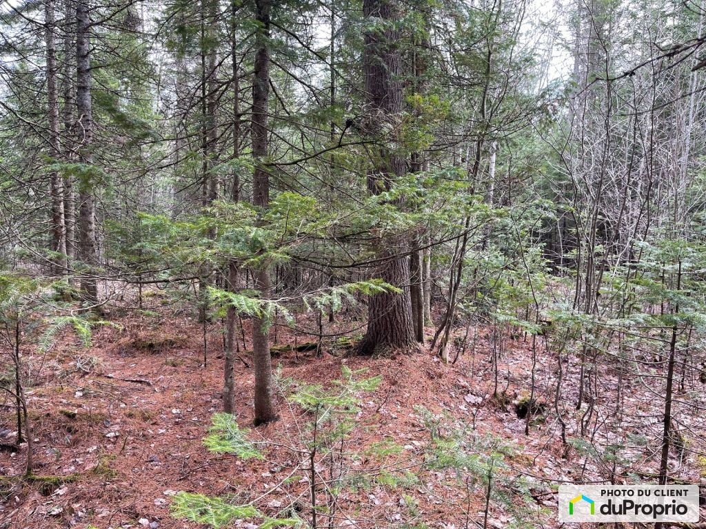 $589,999 - Residential Lot in Sherbrooke (St-Élie-d'Orford) — photo 3