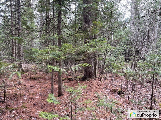 $589,999 - Residential Lot in Sherbrooke (St-Élie-d'Orford) — photo 3
