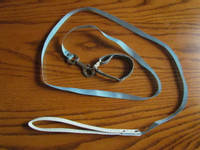 Leash and Adjustable Collar