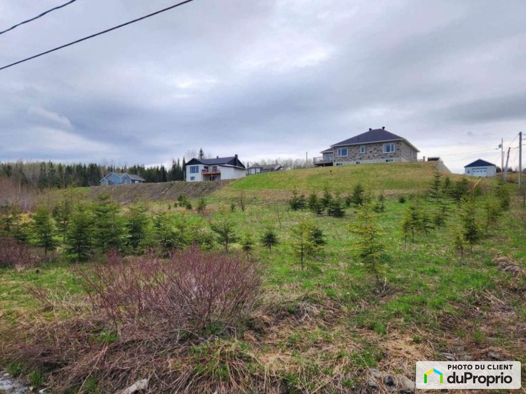 $30,000 - Residential Lot for sale in Lac-Au-Saumon — photo 1