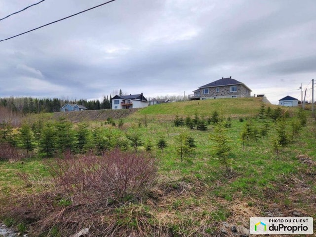 $30,000 - Residential Lot for sale in Lac-Au-Saumon — photo 1