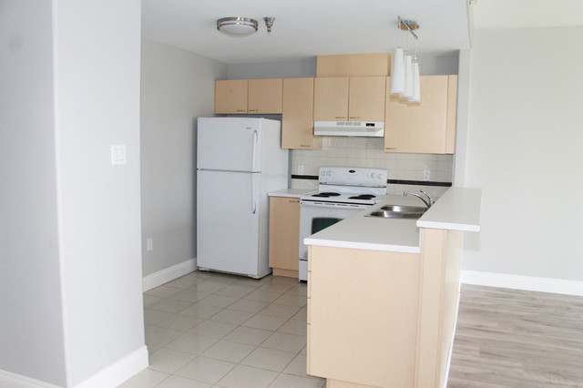 SPACIOUS 1 BEDROOM ON FABULOUS PUBLIC GARDENS in Long Term Rentals in City of Halifax - Image 2