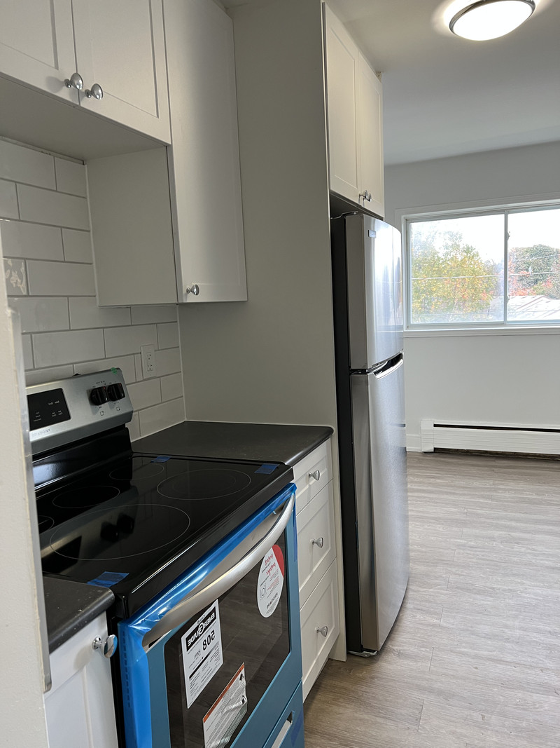 Newly Renovated 2 Bedroom Unit 792 Hughson Long Term Rentals