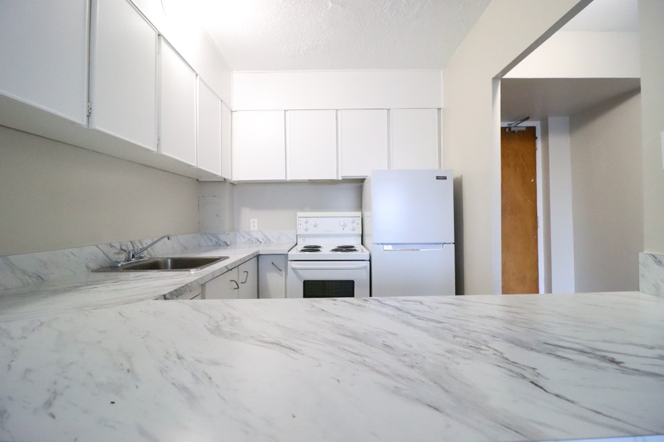 ONE MONTH FREE!!   1 Bedroom Centretown -  Elgin/Bank/Downtown 3