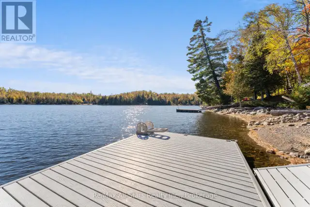 100 RUSSELL DRIVE Trent Lakes, Ontario in Land for Sale in Muskoka - Image 11