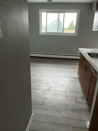 Nice 1 Bedroom Unit 9 is available immediately on second floor with Balcony in well maintained 12 un... (image 5)