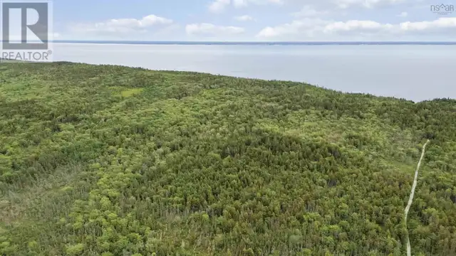 Highway 217 Central Grove, Nova Scotia in Land for Sale in Yarmouth - Image 12