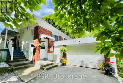 BSMT - 77 BOOTHBAY CRESCENT Newmarket (Central Newmarket), Ontar