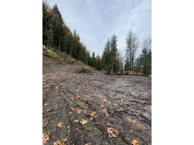 41768 BOWMAN ROAD, Vedder Mountain Yarrow, British Columbia in Land for Sale in Chilliwack - Image 16