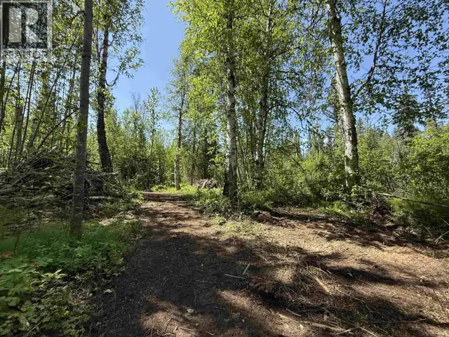 24151 RIVER ROAD Smithers, British Columbia in Houses for Sale in Smithers - Image 28