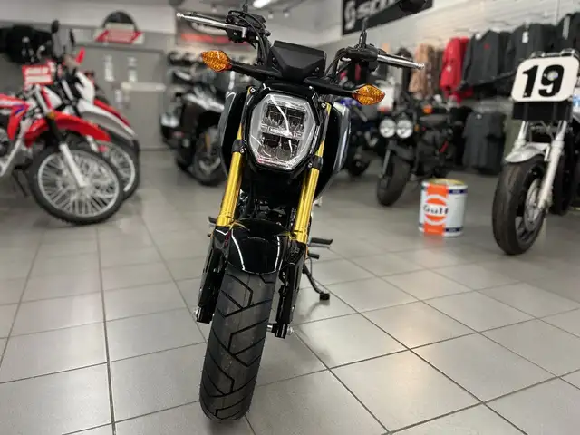 2024 Honda MSX125 Grom in Street, Cruisers & Choppers in Kitchener / Waterloo - Image 9