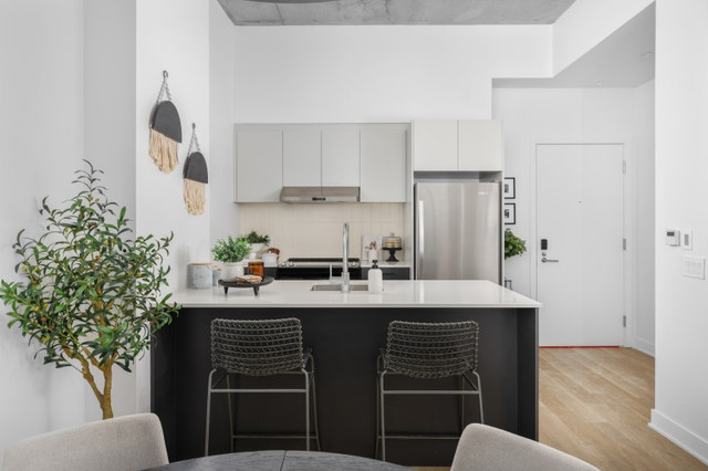 1cc condo apparte neuf à louer Ville-Marie metro Papineau dans Locations longue durée  à Ville de Montréal