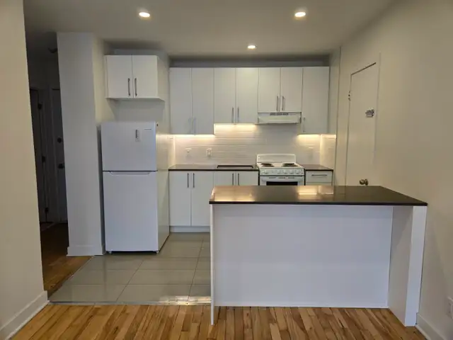 3 1/2 Cote Des Neiges RENOVÉ– CREDIT $720!