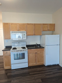 One bedroom apartment, Trout Creek, Summerland