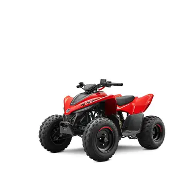 Engine Type: Single-cylinder, 4-strokes Battery: 12v 5 Ah Starting: Electric Compression: 9.1:1 Disp...