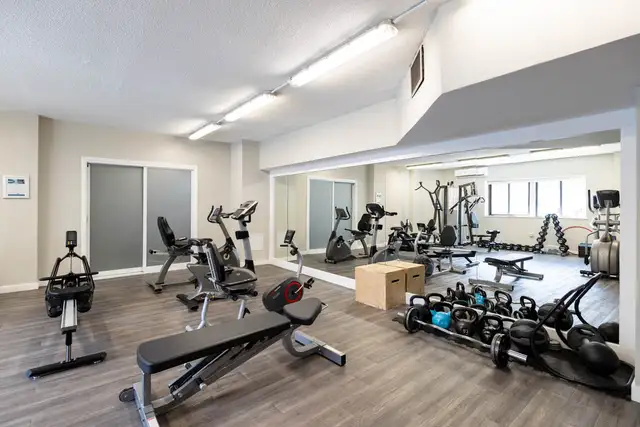Spring Garden - Bachelor available at 5770 Spring Garden Road, H in Long Term Rentals in City of Halifax - Image 4