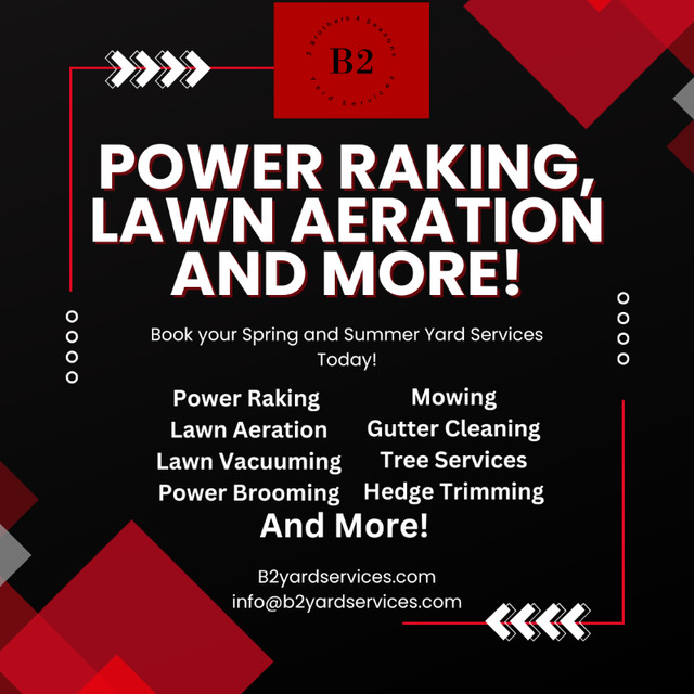 Power Raking and Lawn Aeration Winnipeg in Lawn, Tree Maintenance & Eavestrough in Winnipeg