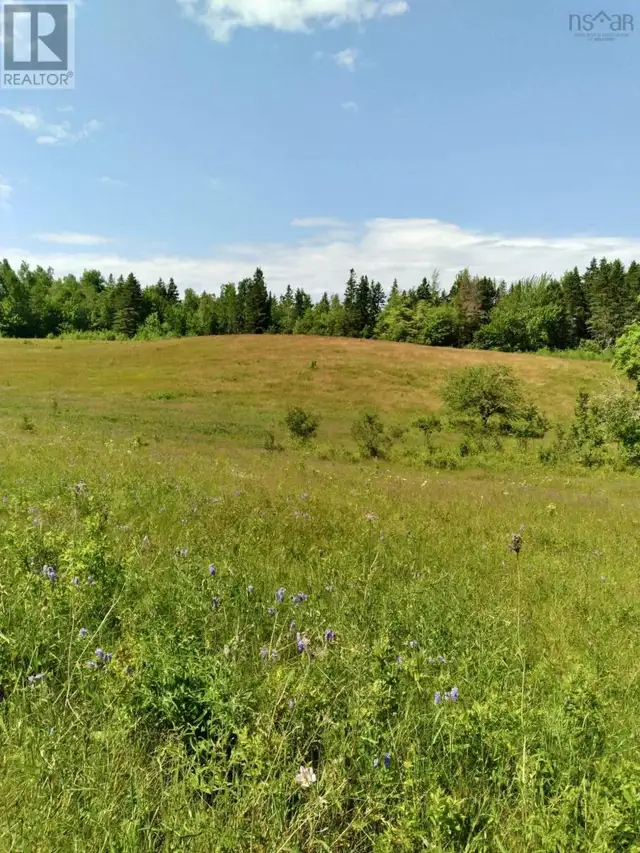 272 Breen Road Monastery, Nova Scotia in Land for Sale in New Glasgow - Image 20