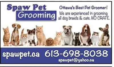 PLEASE CALL OR TX 613.698.8038 14 years of experience at Spawpet Pet, we provide exceptional groomin...
