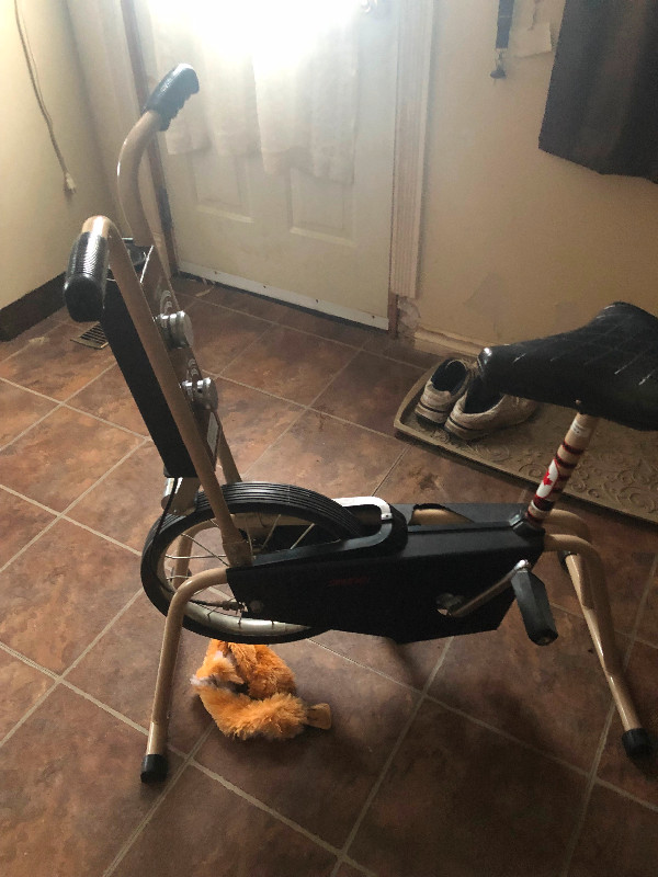 EXERCISE  BIKE in Exercise Equipment in Timmins - Image 2