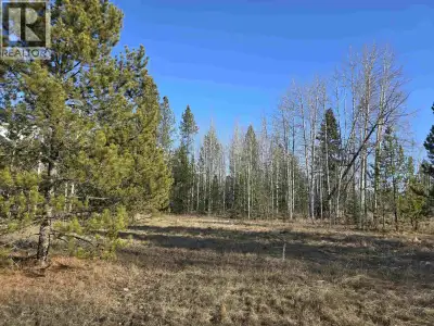 Located on the edge of town, this 3.21-acre property offers a practical opportunity for rural living...