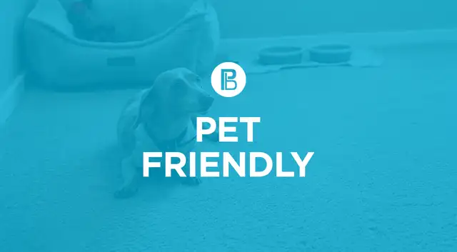 Pet-Friendly One Bedroom One Bath with In-suite Laundry for Rent in Long Term Rentals in Penticton - Image 10