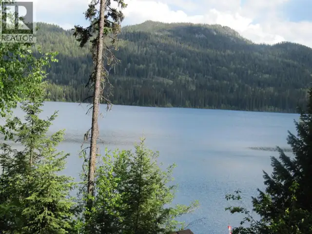 4376 BIRCH LAKE DUMP ROAD Bridge Lake, British Columbia in Houses for Sale in 100 Mile House - Image 33