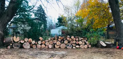 Firewood, no delivery, pick up, View more