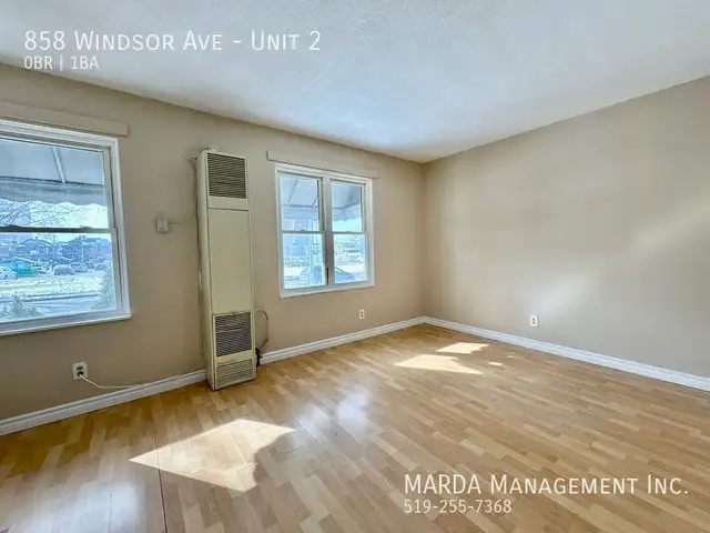 Photo 5