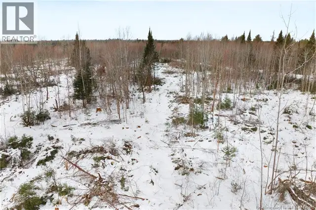 Lots 25-1 & 25-3 Cumberland Bay North Road Cumberland Bay, New B in Land for Sale in Saskatoon - Image 15