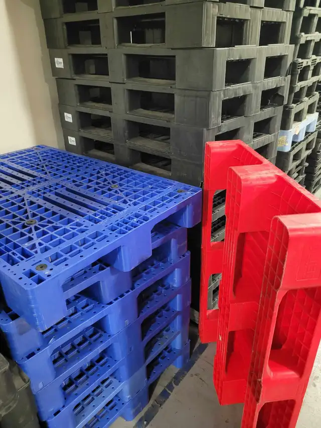 DRY PALLETS stored indoors PLASTIC and WOOD SKIDS pallet skid in Other in Mississauga / Peel Region - Image 4