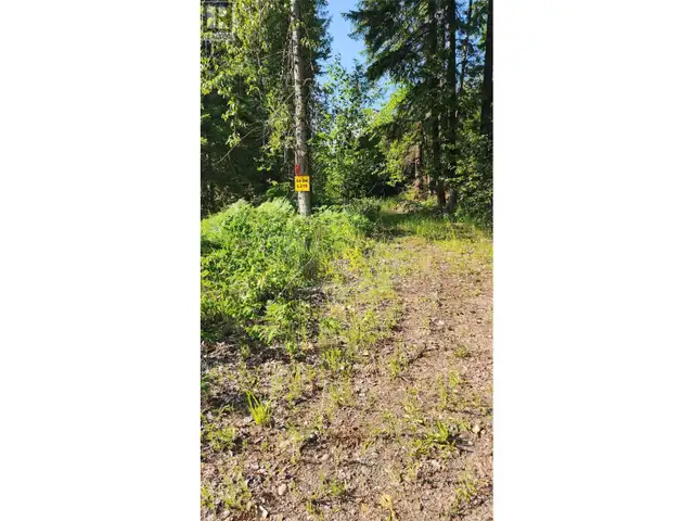 Lot 19 6 Highway Nakusp, British Columbia in Land for Sale in Nelson - Image 11