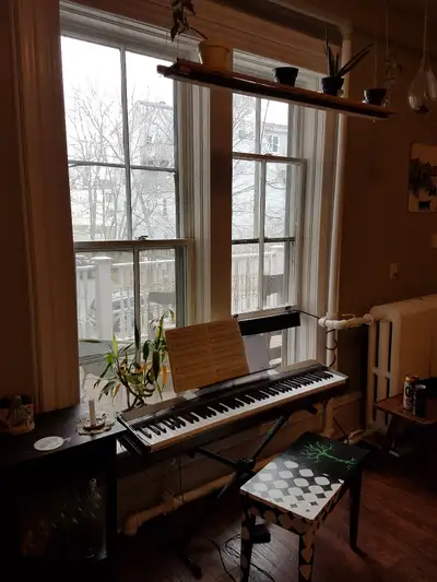 Avail September 1st Four Bedroom Apartment in North End Halifax