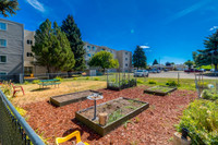 Amenities: Community Garden • Communal BBQs • Air Conditioning Suite & Building: Bachelor, one- and... (image 2)