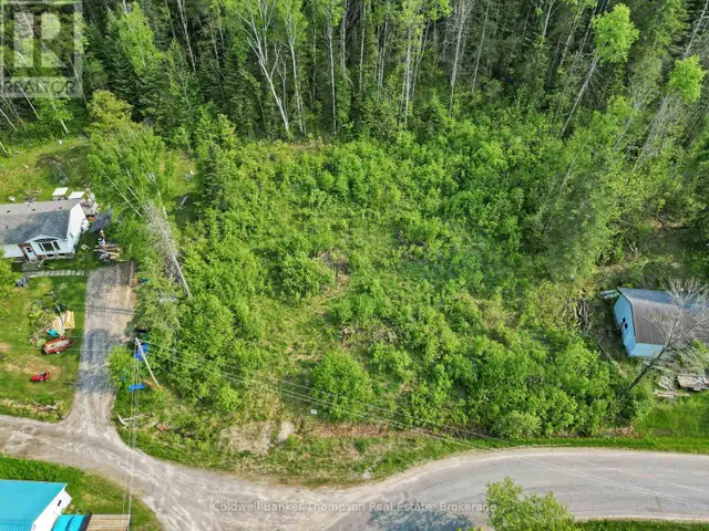 219 DOE LAKE ROAD Armour, Ontario in Land for Sale in Muskoka - Image 4