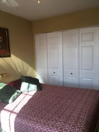 Beautiful Private Room in Young St. Ottawa with Parking!