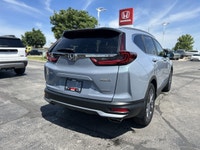 Navigate every season with confidence in the exceptional 2020 Honda CR-V Sport. This versatile sport... (image 2)
