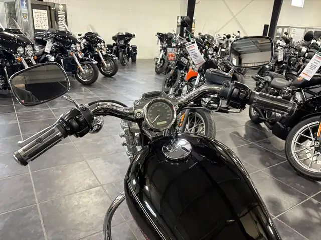 2004 Harley-Davidson Sportster 883 Custom in Sport Bikes in Sudbury - Image 15