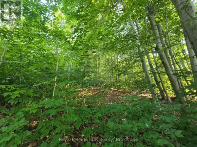 Great building Lot in a highly desirable area! Stunning views from this sloping, well-treed property...