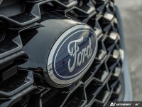 Sport Suspension, Sunroof, Cooled Seats, BlueCruise, Navigation, B&O Audio, 360 Camera, Remote Start... (image 9)