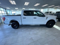 Built tough for work, play, and everything in between --- this 2023 Ford F-150 XLT is ready to handl... (image 6)