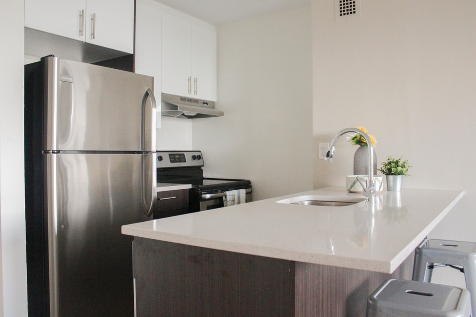 1101 Rachel - Apartment for Rent in Le Plateau Mont-Royal dans Locations longue durée  à Ville de Montréal