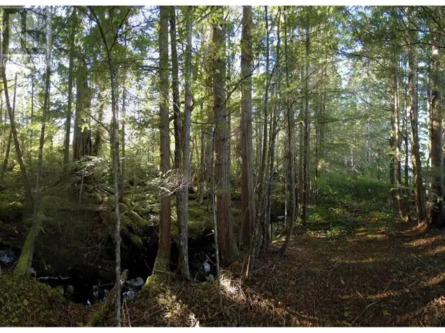 1302 GOBLE POINT Prince Rupert, British Columbia in Land for Sale in Prince Rupert - Image 38