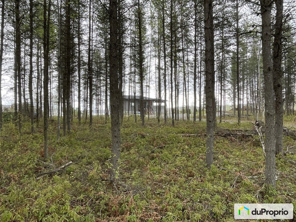 $649,999 - Cottage for sale in Dolbeau-Mistassini — photo 3