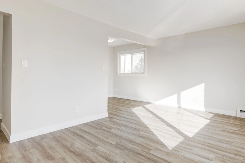 Spacious and bright apartments for rent 3