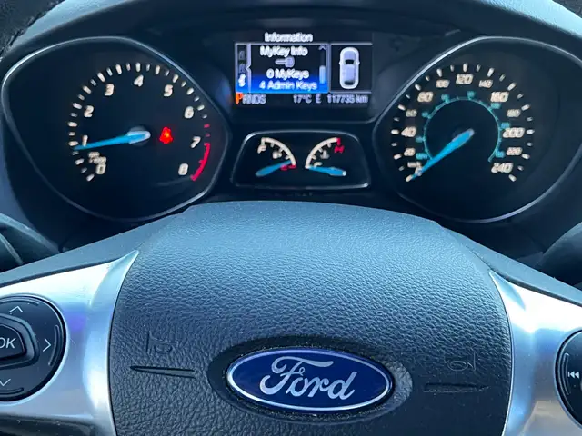 2013 Ford Focus5180652791018496021